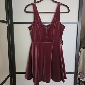 Express Burgundy Velvet Dress